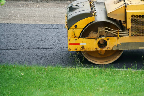 Best Professional Driveway Pavers  in Hillandale, MD